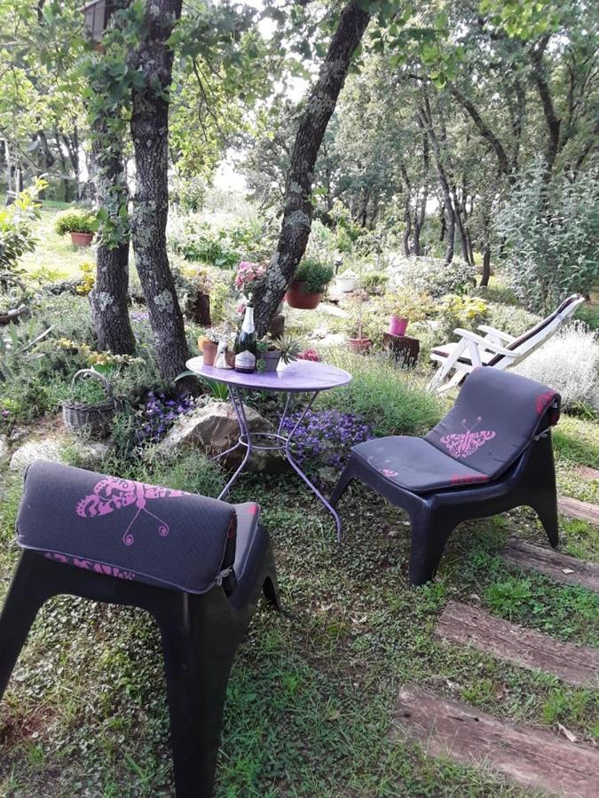 Apartments Bijou With Big Private Garden Near Umag Vilanija Екстериор снимка