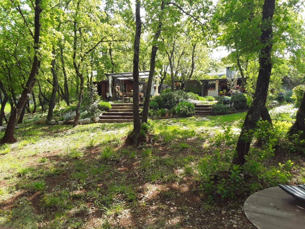 Apartments Bijou With Big Private Garden Near Umag Vilanija Екстериор снимка